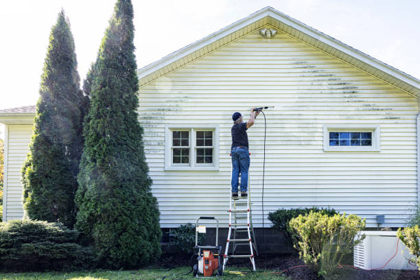 Best Building Exterior Washing  in Brazoria, TX